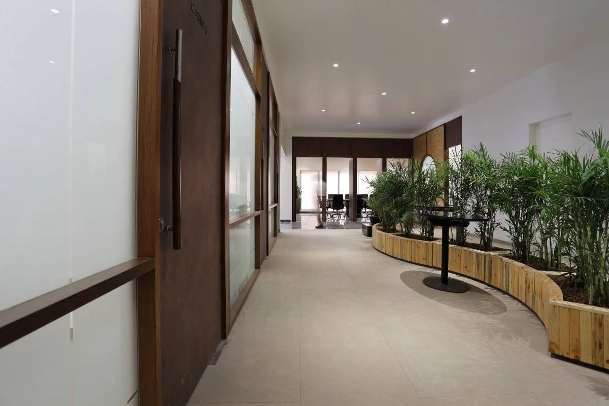 Corridor lined with planters